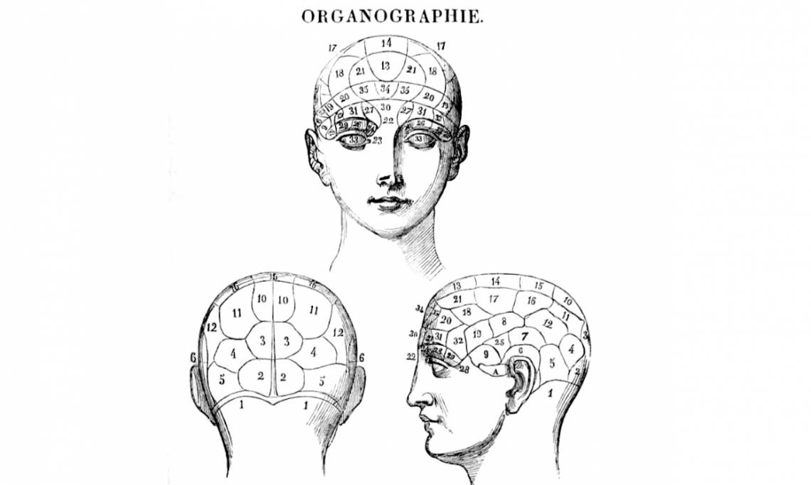 Localisations cérébrales, G. Fossati, Manuel pratique de phrénologie, 1845 - source : Collection privée de Marc Renneville-La Découverte