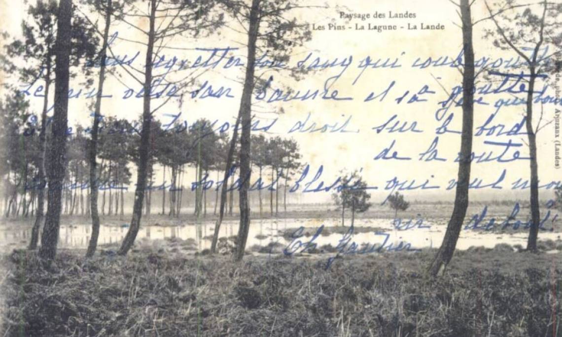 Paysage des Landes - Les pins, 1906 - source : Gallica-BnF