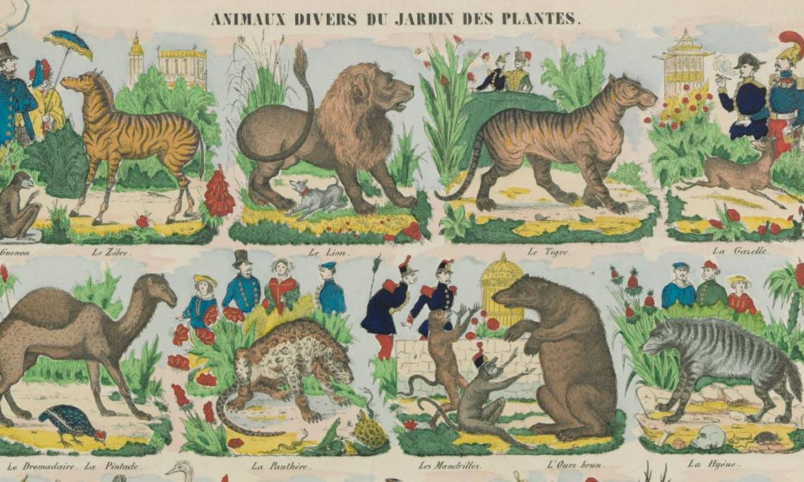 Animaux divers du Jardin des Plantes, Ed. Pellerin, 1854 - source : Gallica-BnF