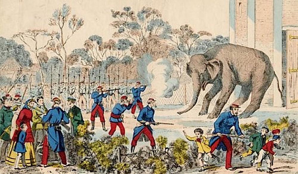 Abattage des éléphants Castor et Pollux, Le Petit Journal - source : RetroNews-BnF