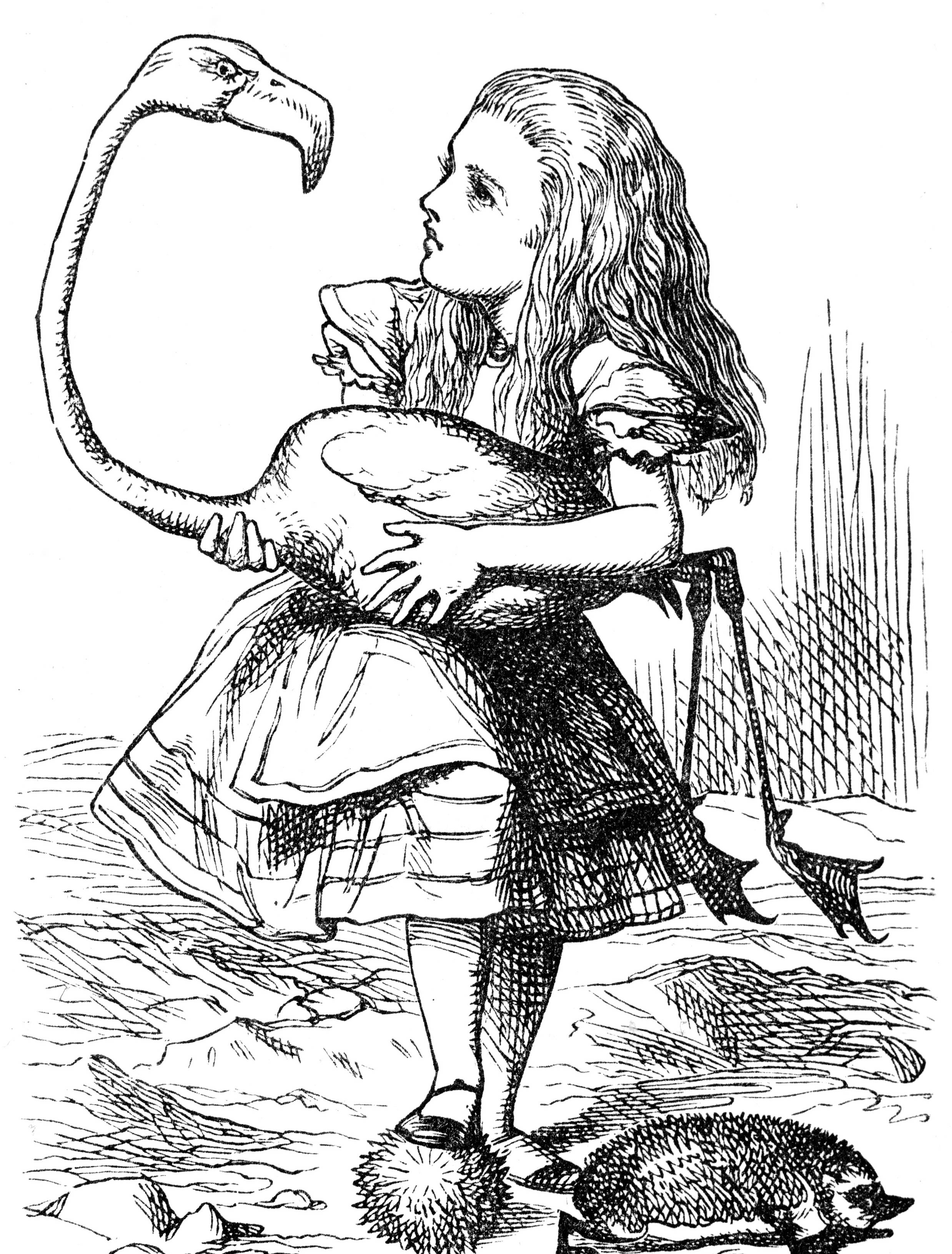 Alice tente de jouer au croquet avec un flamant rose, illustration de John Tenniel, 1865 - source : WikiCommons