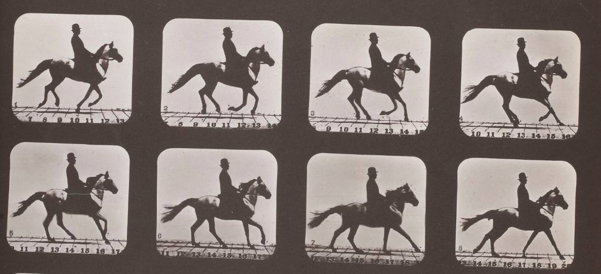 Allure des animaux, recueil de photographies prises au haras de Palo-Alto en Californie, Eadweard Muybridge, 1881 - source : Gallica-BnF