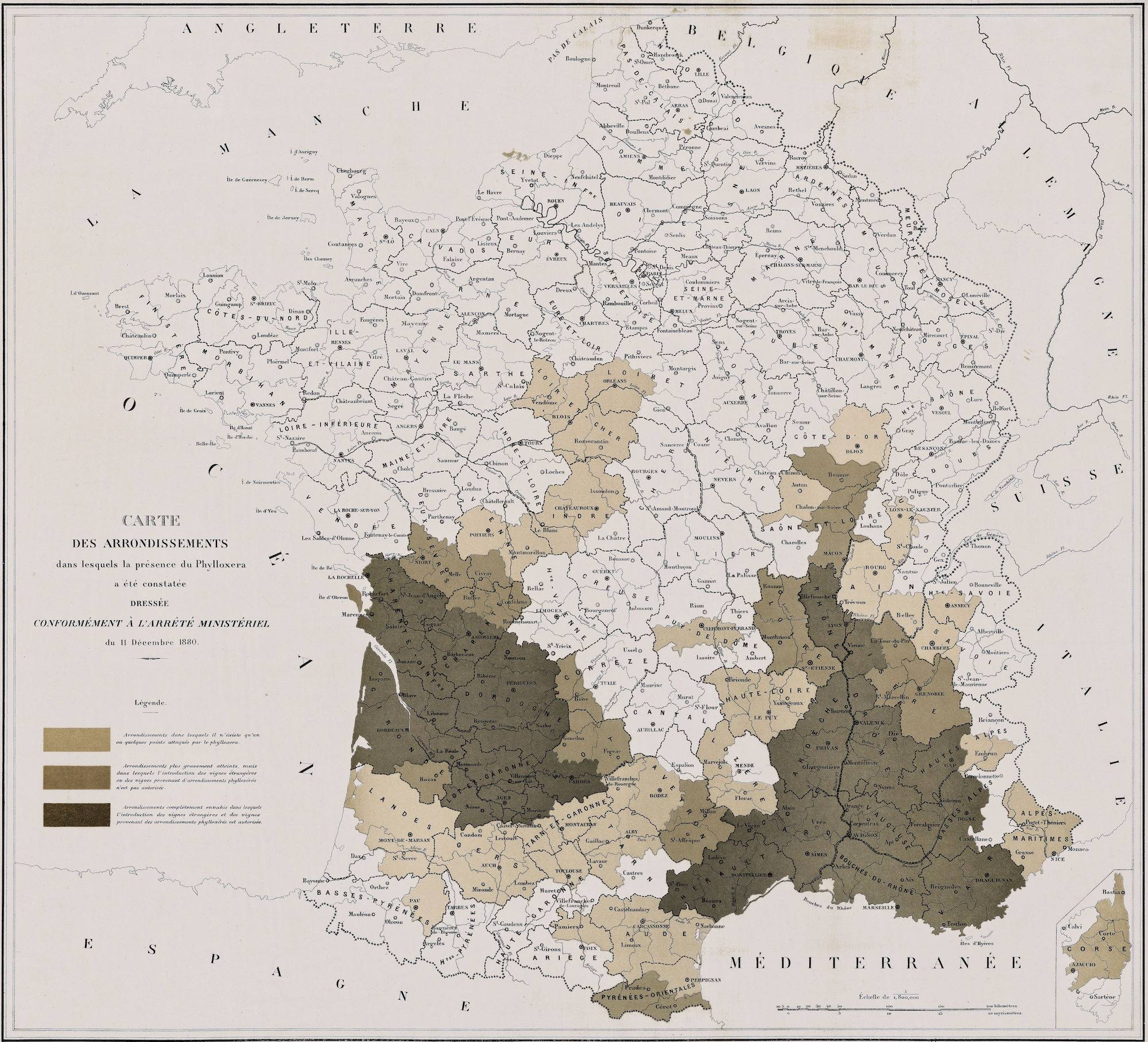 Carte des arrondissements dans lesquels la présence du phylloxera a été constatée, 1881 - source : Gallica-BnF